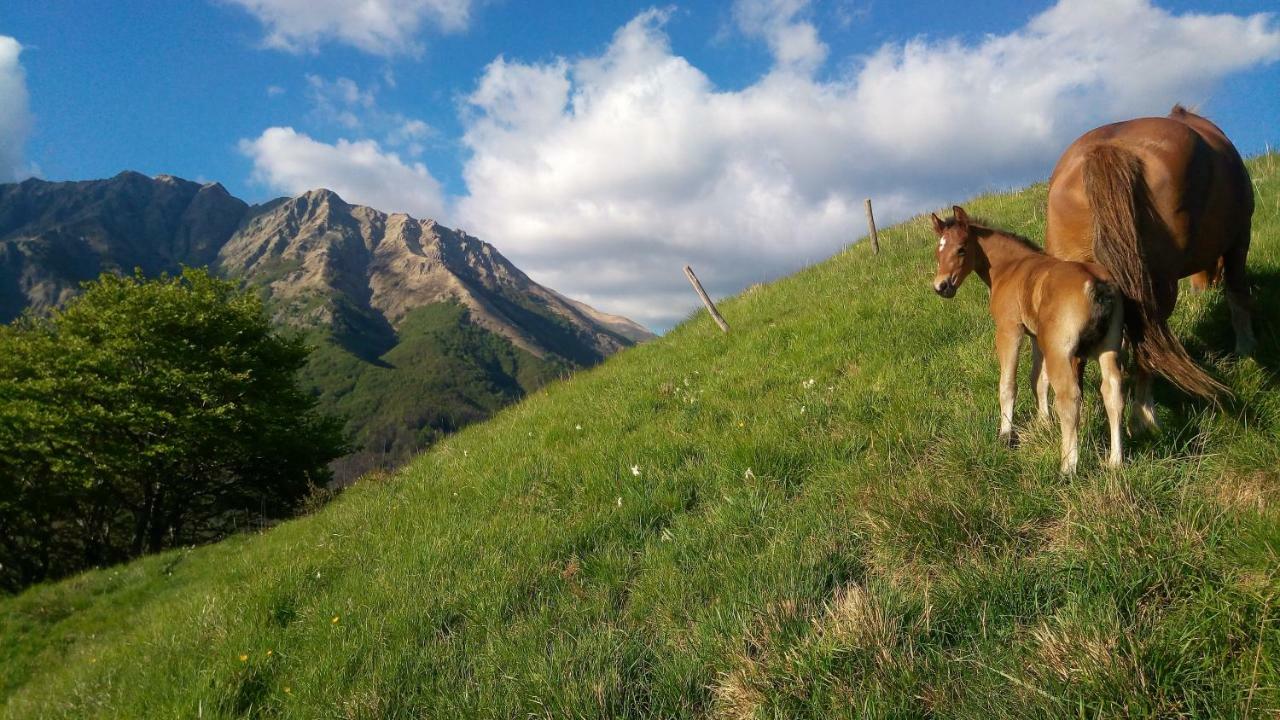 فيفيزانو B&B La Bredia المظهر الخارجي الصورة